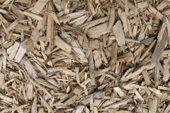biomass boilers Nyetimber
